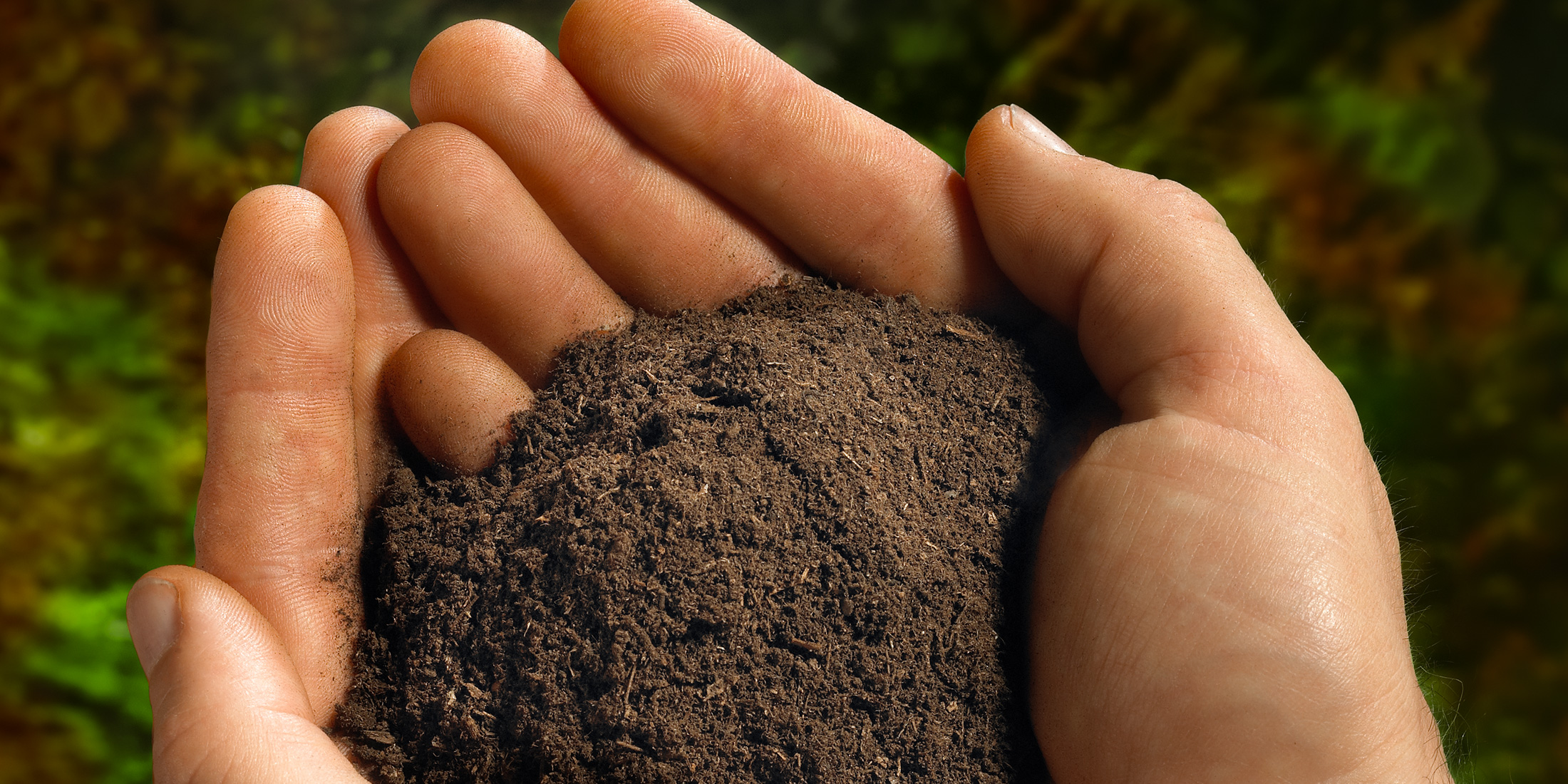 Peat For Sale