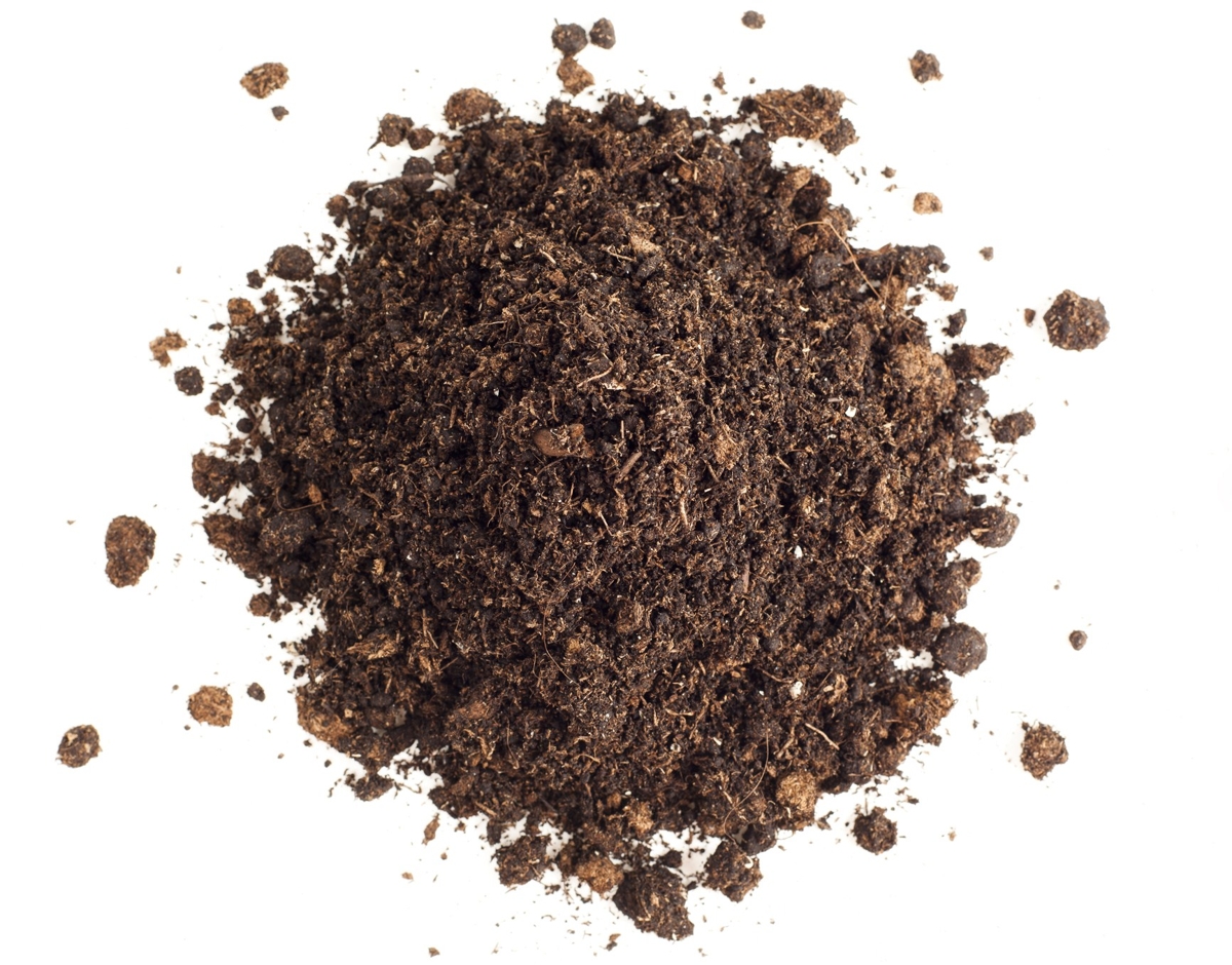 peat moss download peat moss download